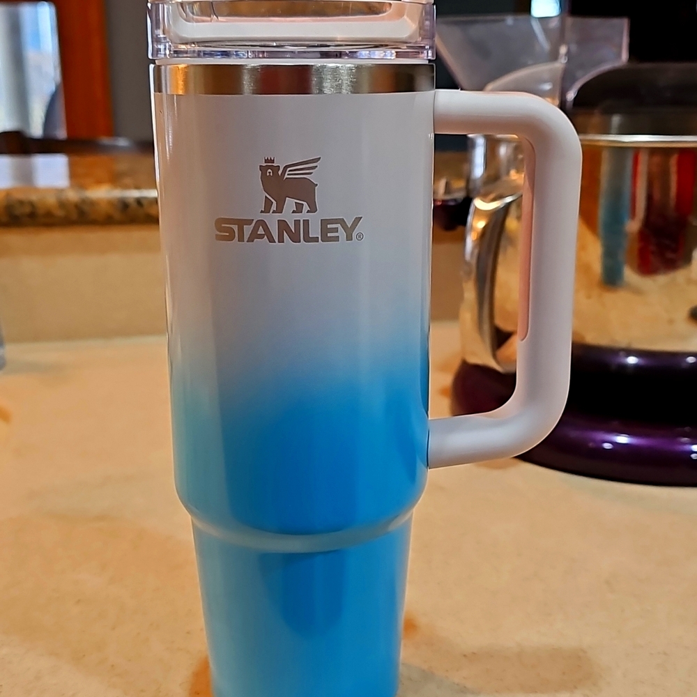 30 oz stanley pool ombre